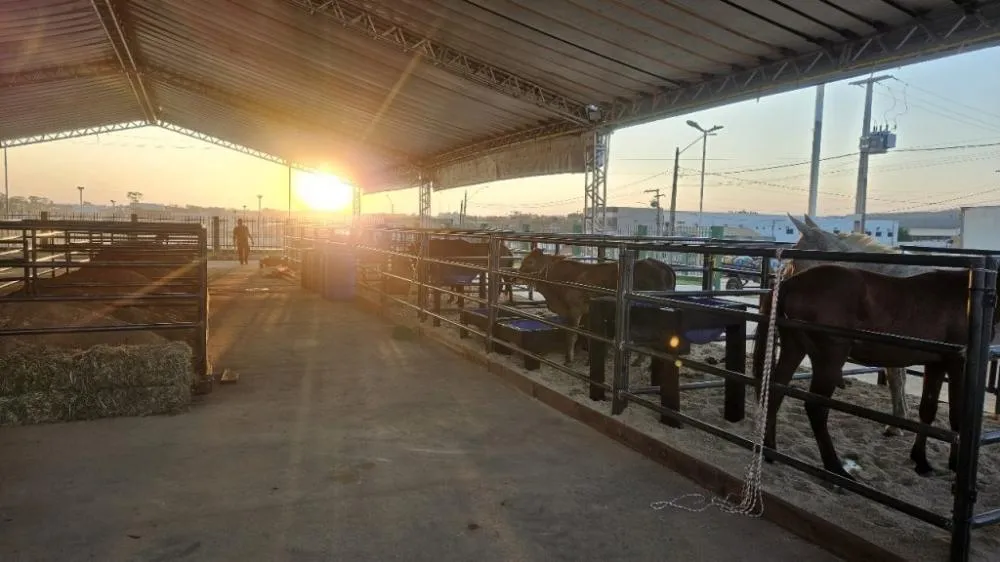Foto: Arquivo Sempru