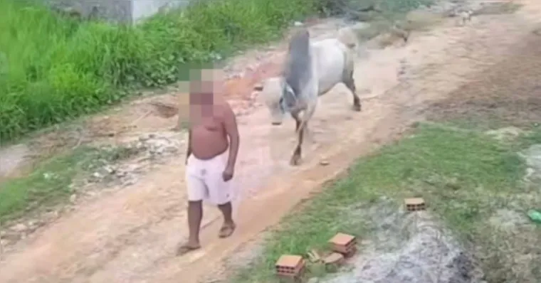 Vídeo: homem é arremessado após ataque de boi solto em rua