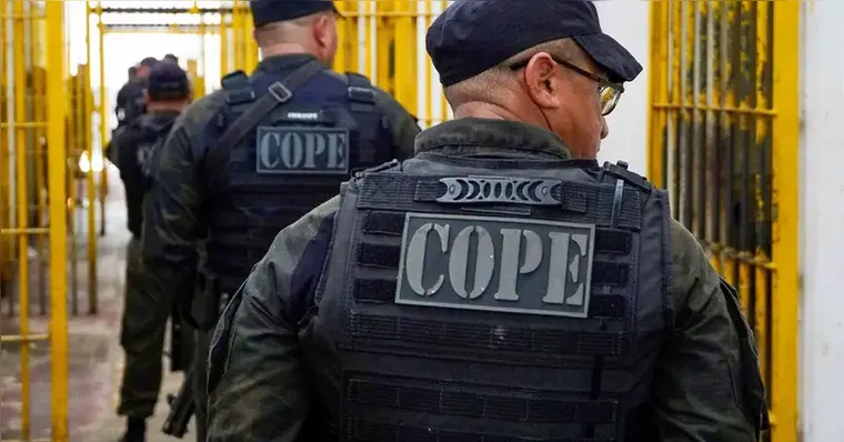 Resultados da 11ª Fase da Operação Mute no Pará