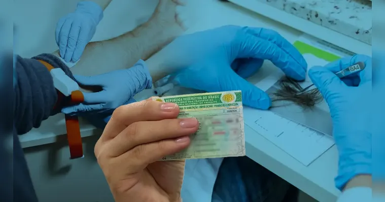 Exame toxicológico passa a ser obrigatório para quem for tirar primeira CNH