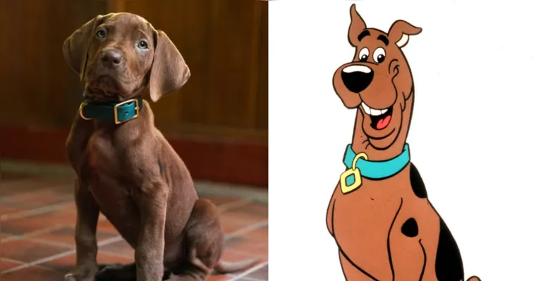O vídeo de apresentação adota o ponto de vista do próprio filhote para contar o primeiro encontro entre Scooby e Salsicha. | Divulgação / Netflix / Reprodução