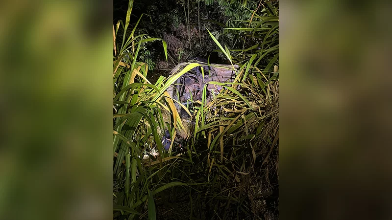 O carro caiu em um barranco entre Curionópolis e Parauapebas/ Foto: Divulgação