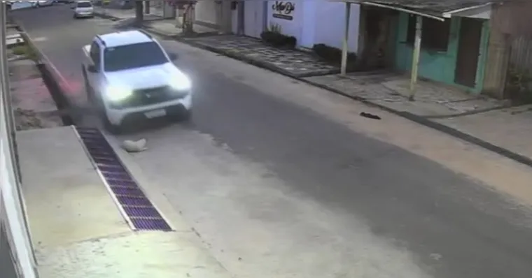 Motorista atropela cachorro de propósito em rua de Abaetetuba, no Pará