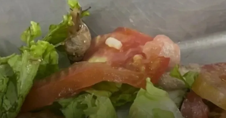 Caramujo é encontrado em restaurante universitário da Ufra