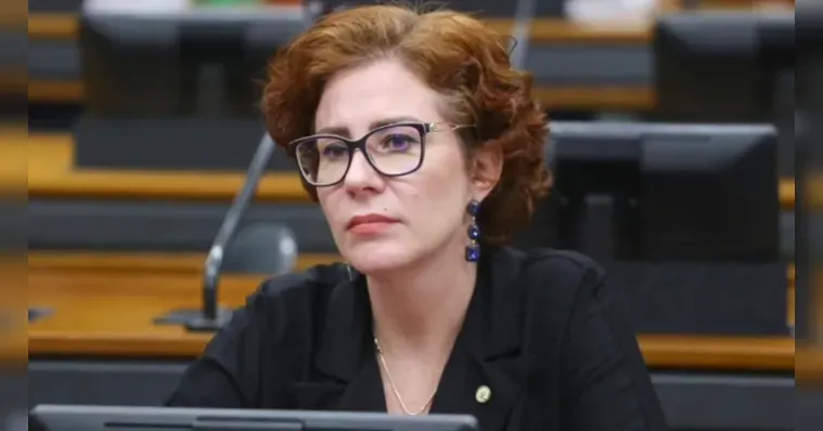 Vinicius Loures / Câmara dos Deputados